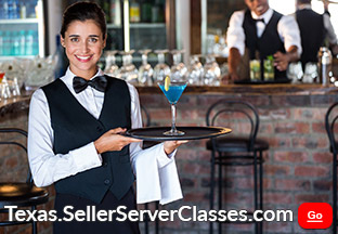 Seller Server Classes